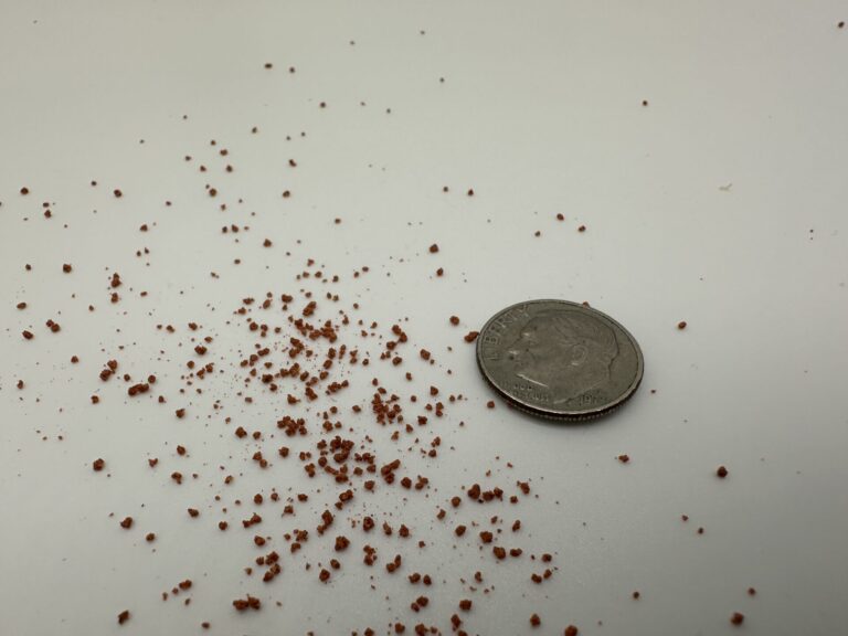 Hikari Micro Pellets Next to a Dime