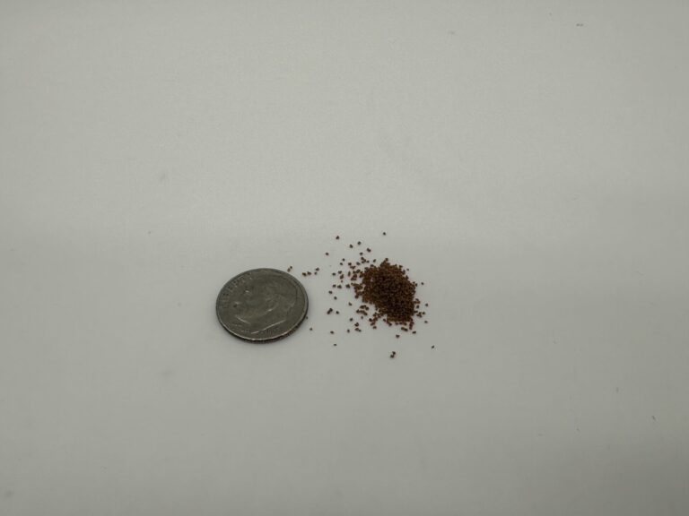 Hikari Fancy Guppy Pellet Size